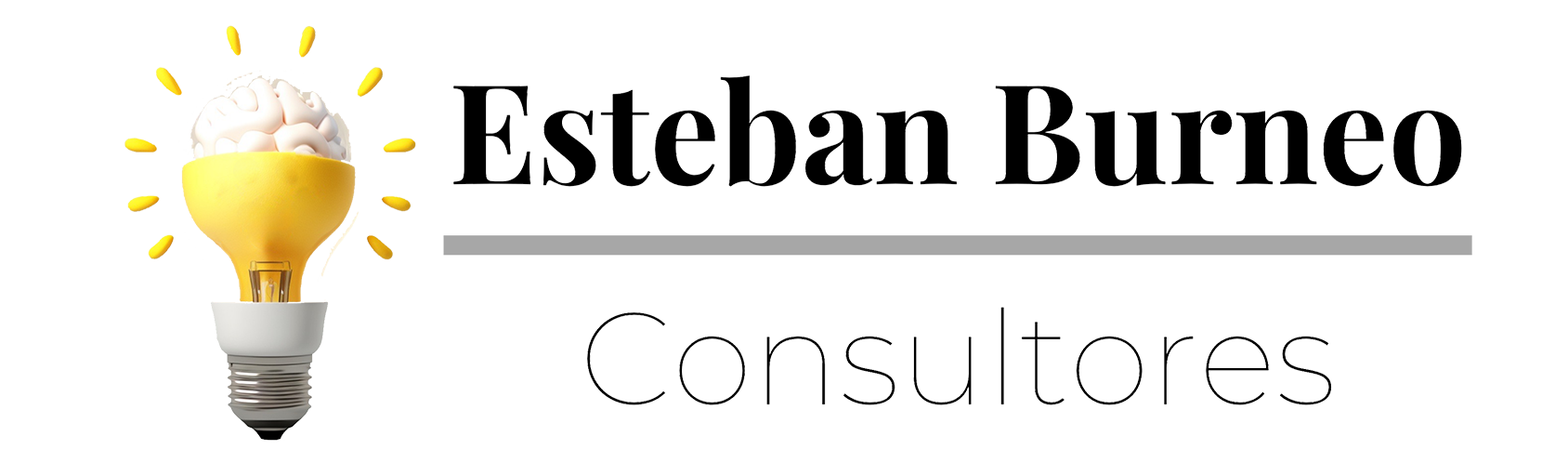 Esteban Burneo – Consultores